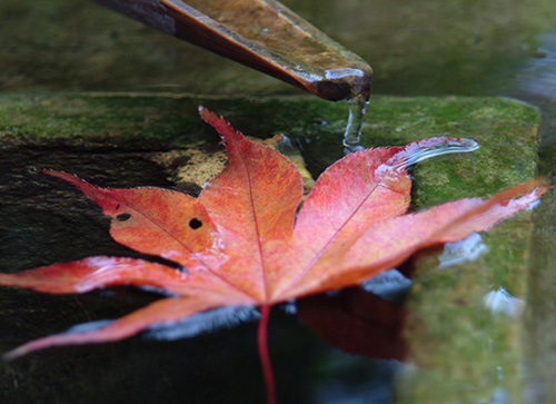 Recommended readings and music